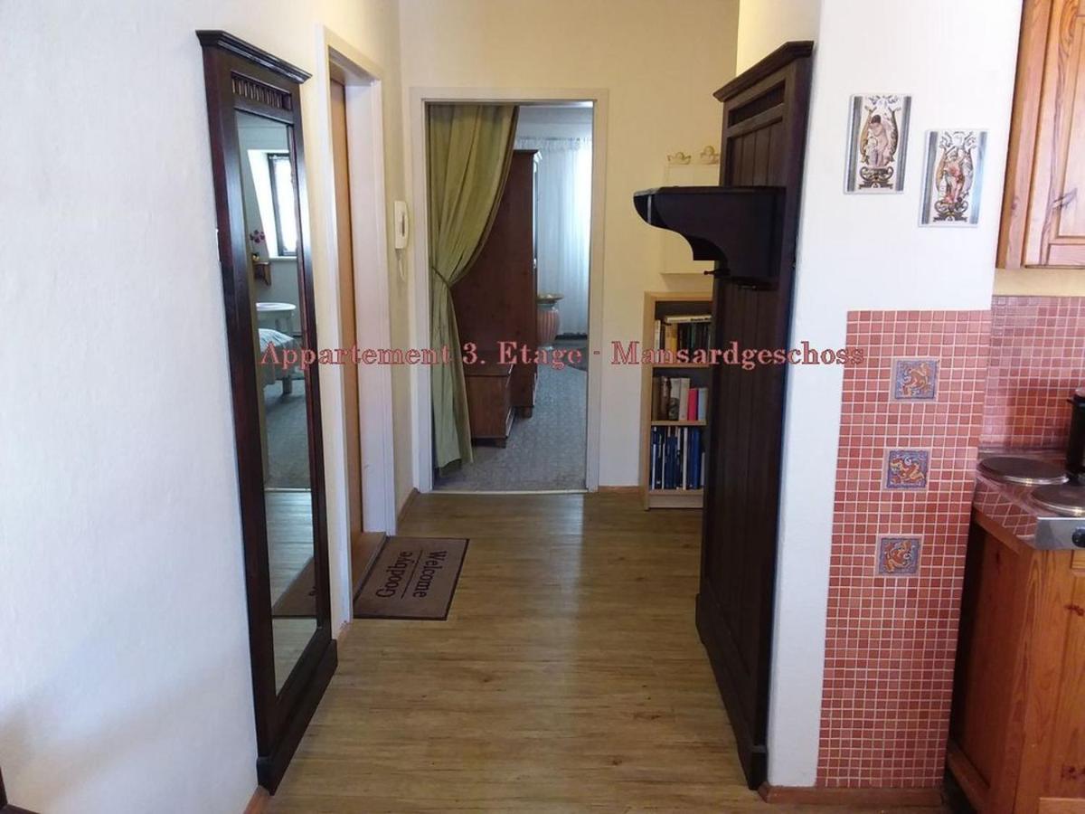 City-Ferienwohnungen-Dresden - Zentral Gelegen Im Haus Louisenstrasse 11 - Dresden-Neustadt Exteriör bild