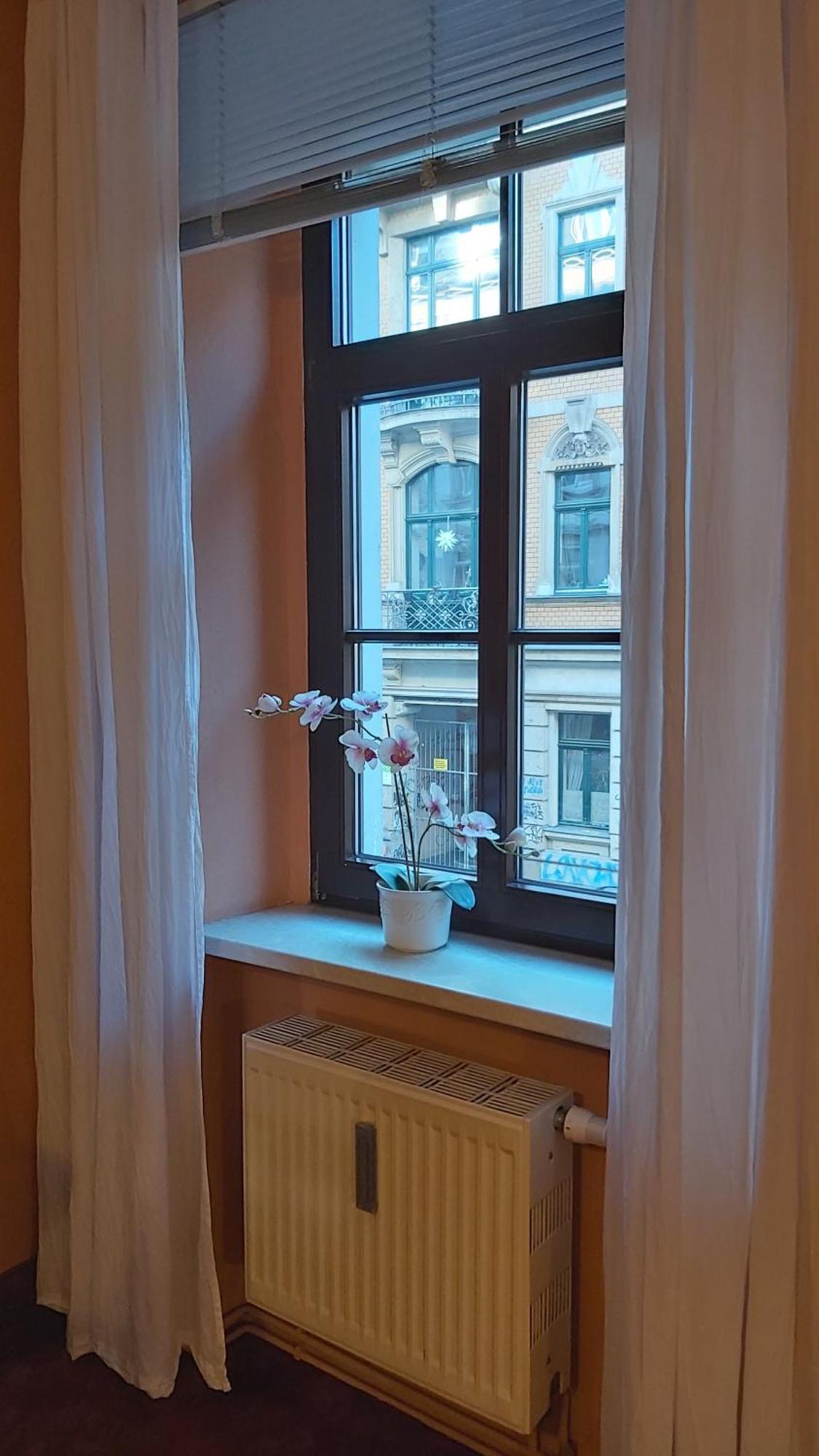 City-Ferienwohnungen-Dresden - Zentral Gelegen Im Haus Louisenstrasse 11 - Dresden-Neustadt Exteriör bild