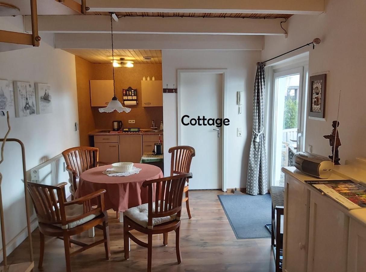 City-Ferienwohnungen-Dresden - Zentral Gelegen Im Haus Louisenstrasse 11 - Dresden-Neustadt Exteriör bild